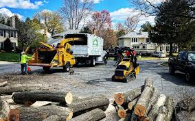 Best Emergency Tree Removal  in Emmitsburg, MD